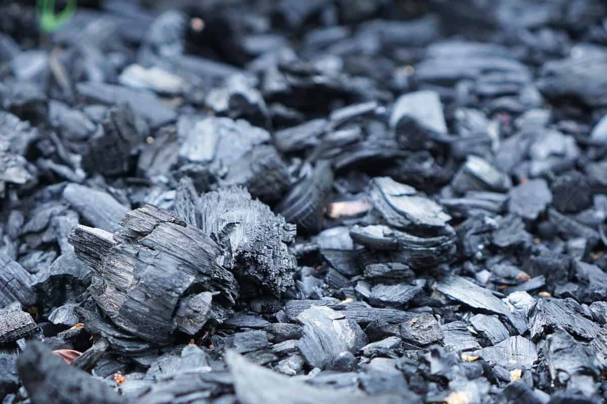 How to Purify Water with Charcoal: The Ultimate Guide