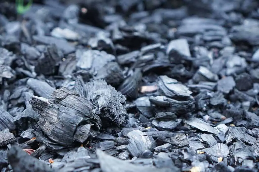 How to Purify Water with Charcoal The Ultimate Guide Be Prepared For It